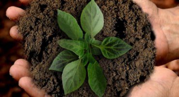 agroecologia