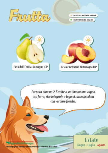 Stagionalità dei prodotti ortofrutticoli di Agosto 2025 Verdure