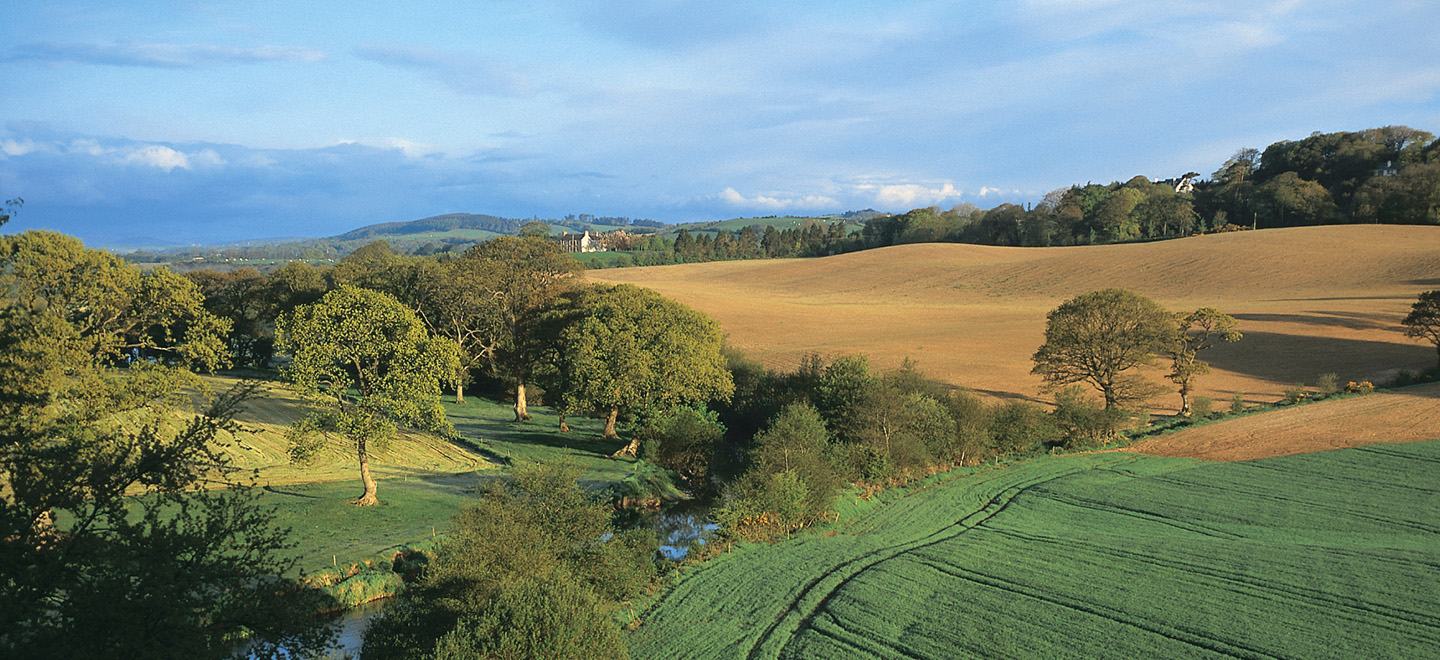 Le campagne e ele pianure dell'emilia romagna
