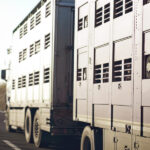 Corso formazione Trasporti
