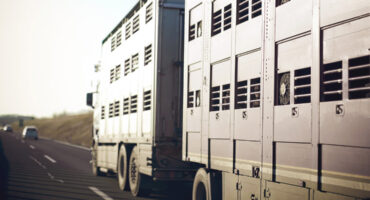 Corso formazione Trasporti