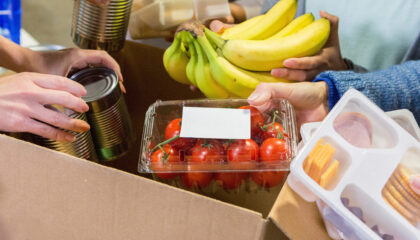 Linee guida per il recupero, la distribuzione e l'utilizzo di prodotti alimentari per fini di solidarietà sociale