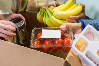 Linee guida per il recupero, la distribuzione e l'utilizzo di prodotti alimentari per fini di solidarietà sociale