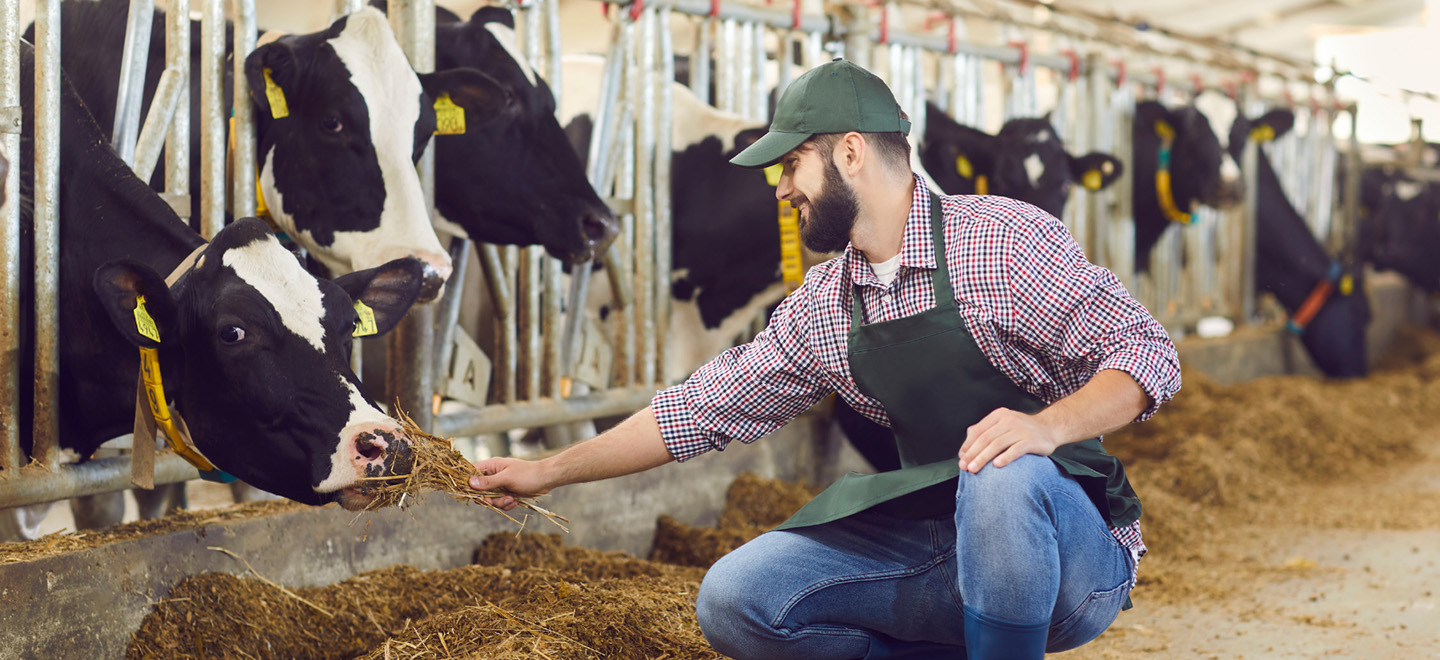 Il benessere animale negli allevamenti