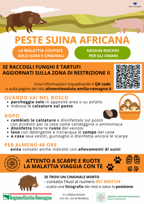 PSA fungaioli 8