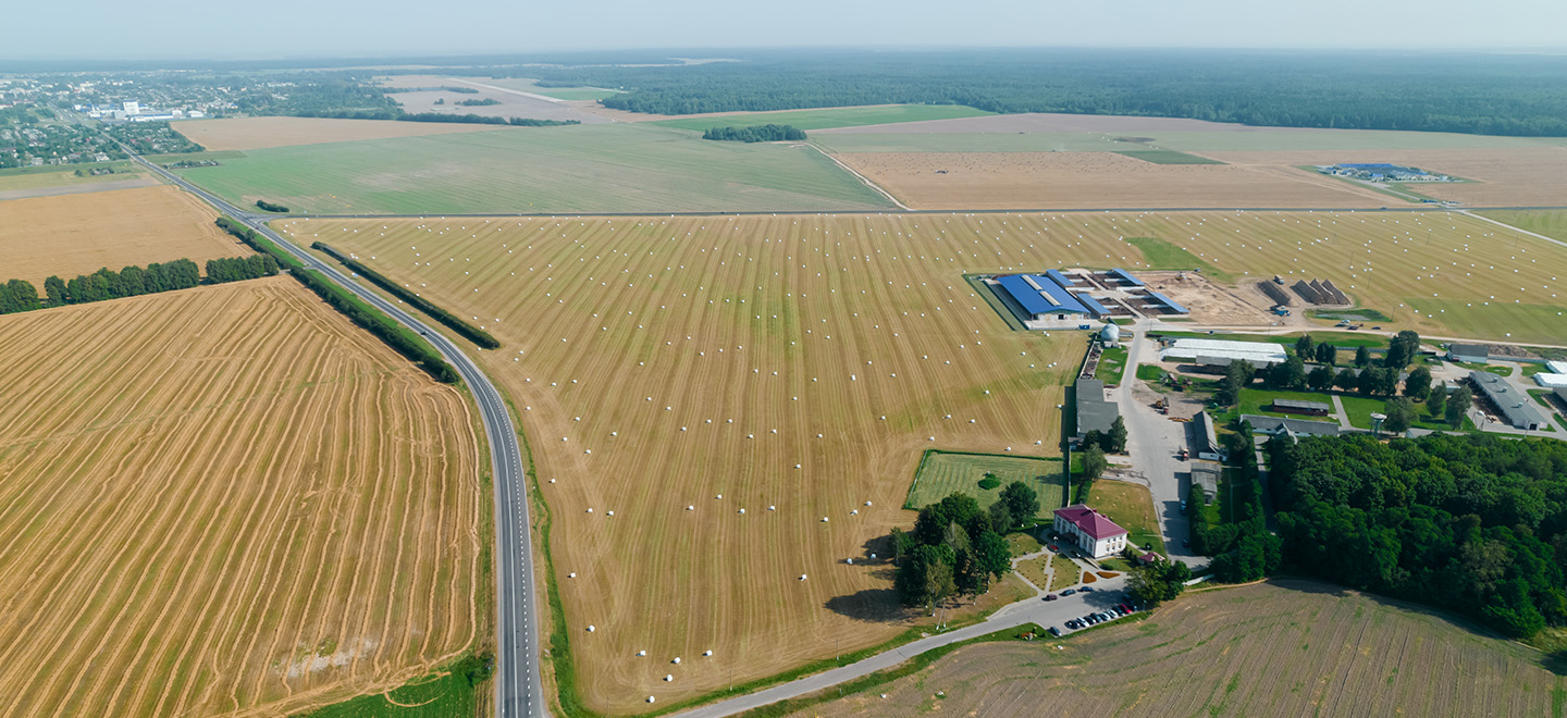 allevamenti ed ecosostenibilità