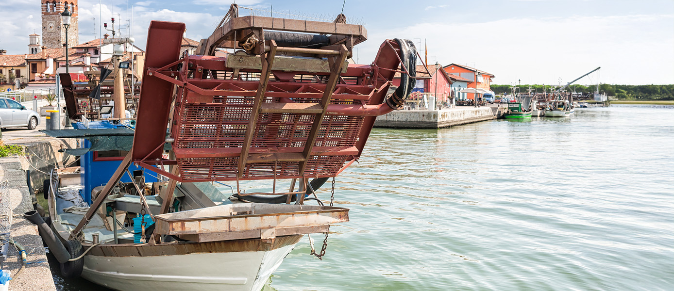 pesca molluschi bivalvi vivi Classificazione delle acque di allevamento dei molluschi dell'Emilia-Romagna