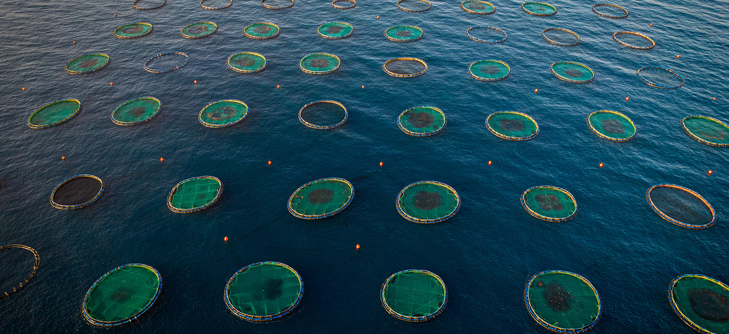 Reti da pesca nel mare